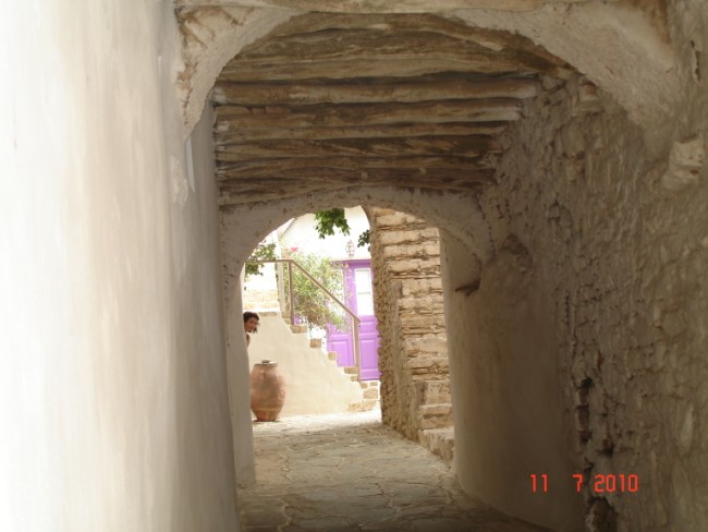 DSC00732.jpg