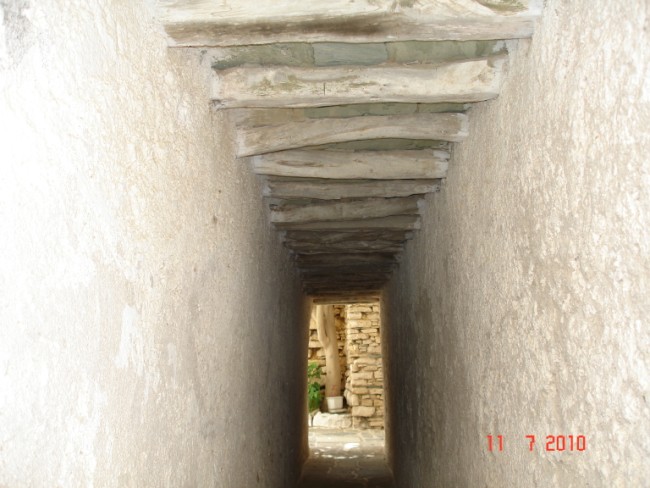 DSC00731.jpg