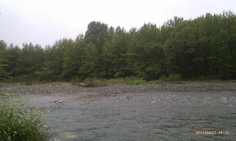 IMAG0186 (800 x 479).jpg