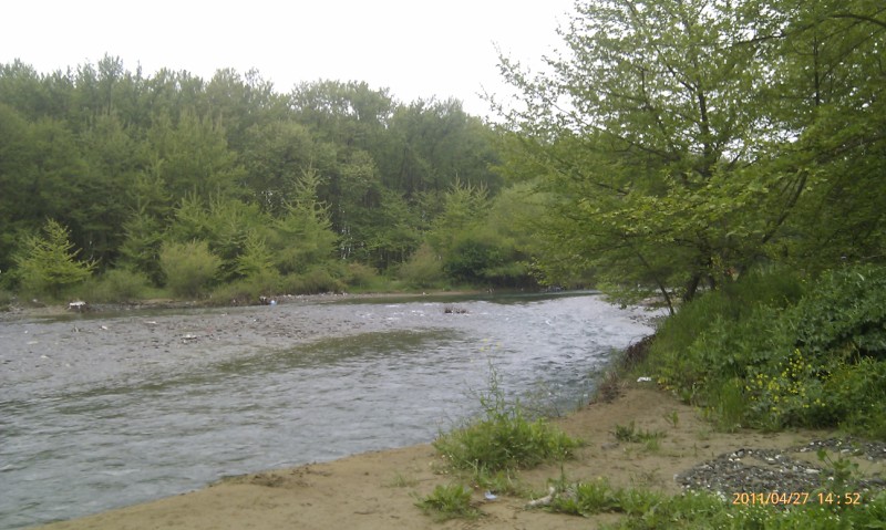 IMAG0187 (800 x 479).jpg