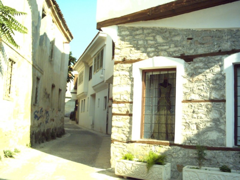 IMAG0005.JPG