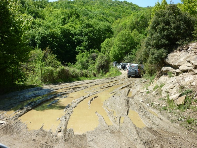 P1020349.jpg