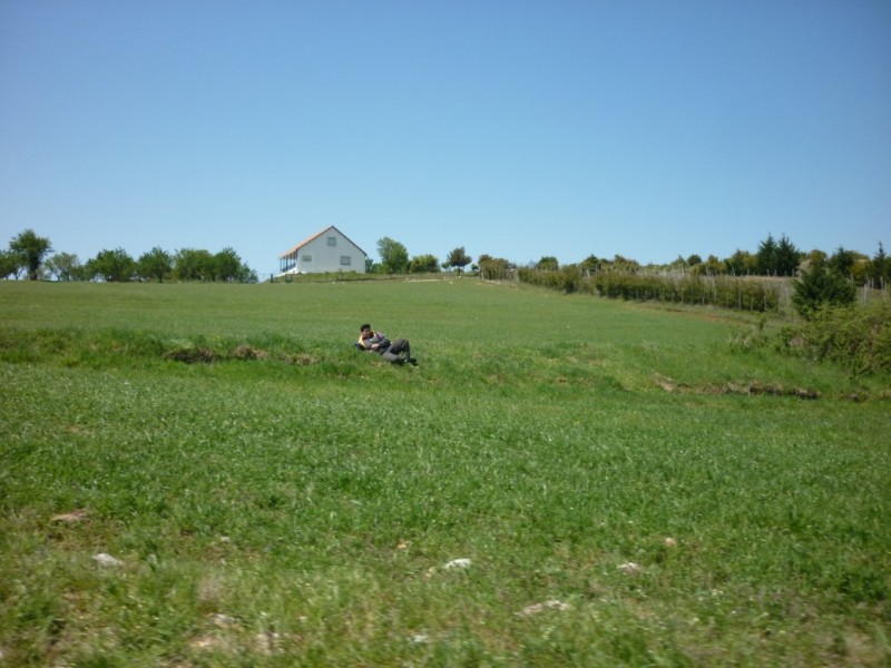 P1020353.jpg