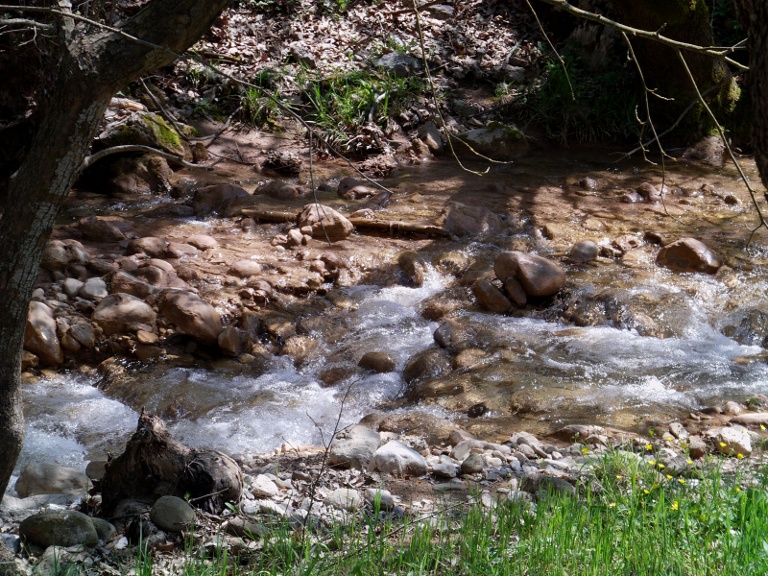 IMAG0015.JPG