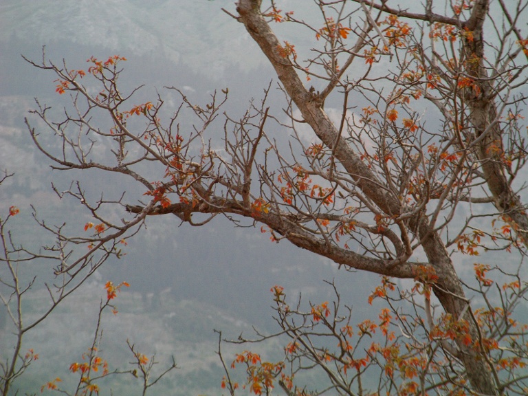 IMAG0031.JPG