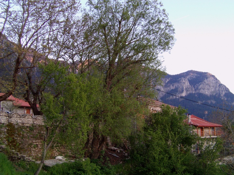 IMAG0032.JPG