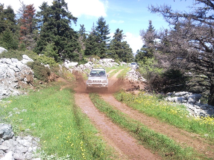 P110508_120337.jpg