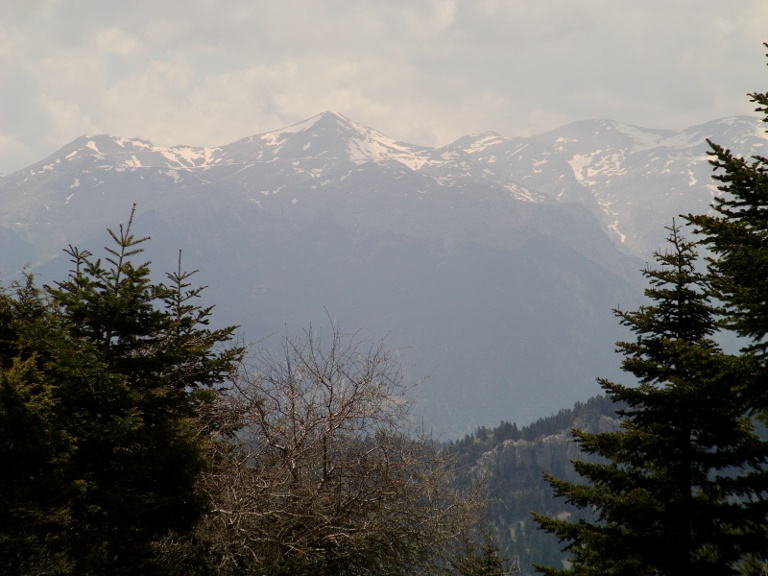 IMAG0072.JPG