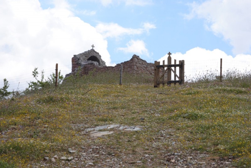 DSC_7682.jpg