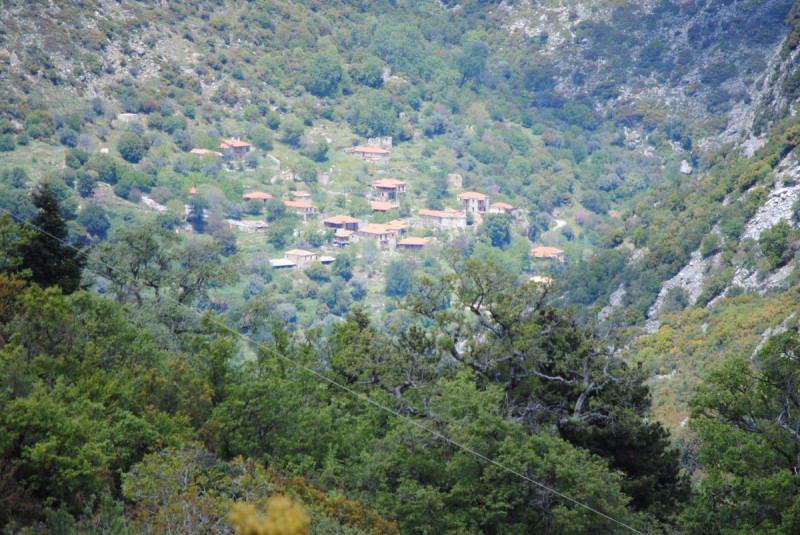DSC_7703.jpg
