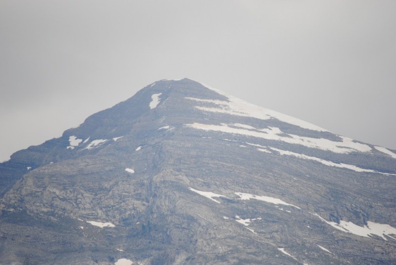 DSC_7705.jpg