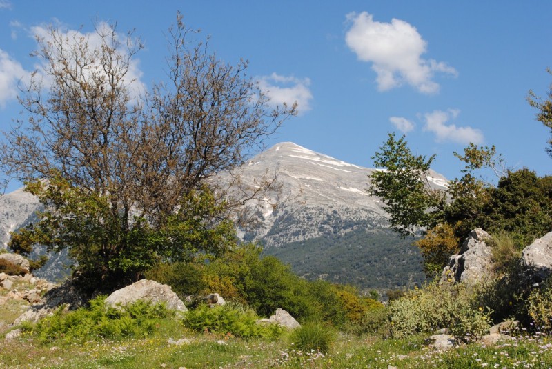 DSC_7743.jpg