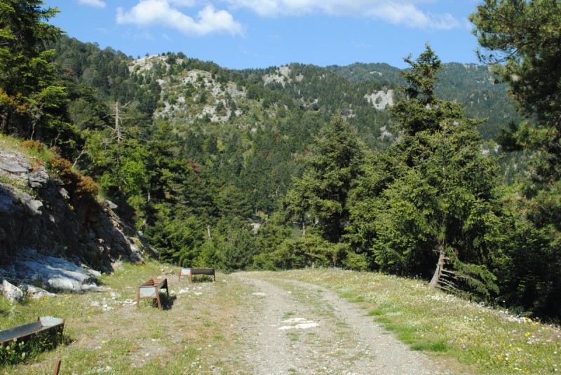 DSC_7756.jpg