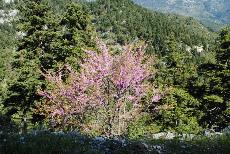 DSC_7768.jpg
