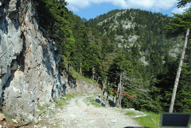 DSC_7769.jpg
