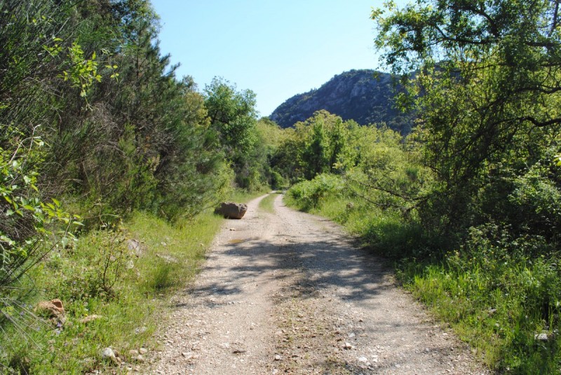 DSC_7810.jpg
