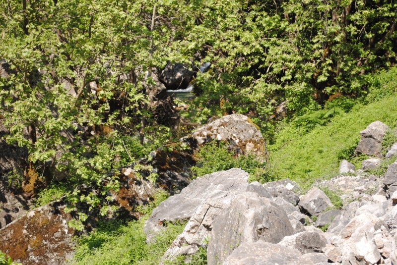 DSC_7814.jpg