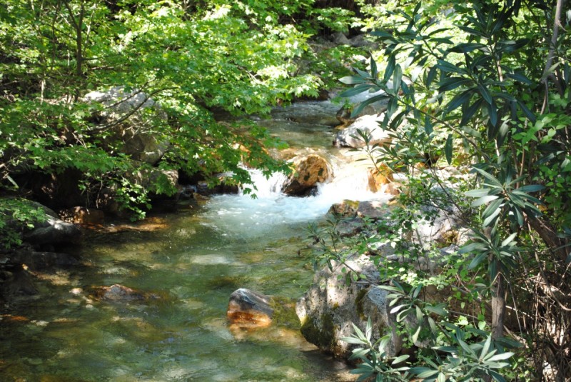 DSC_7838.jpg