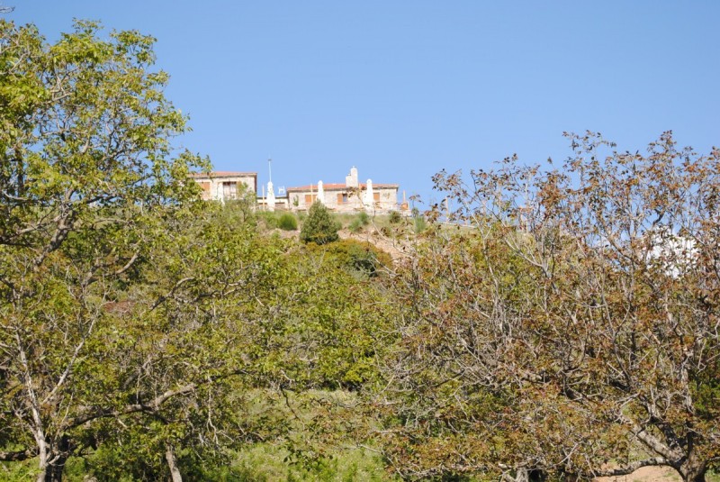 DSC_7878.jpg