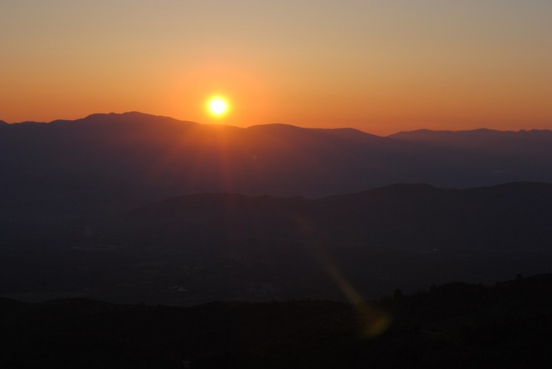 DSC_7731.jpg