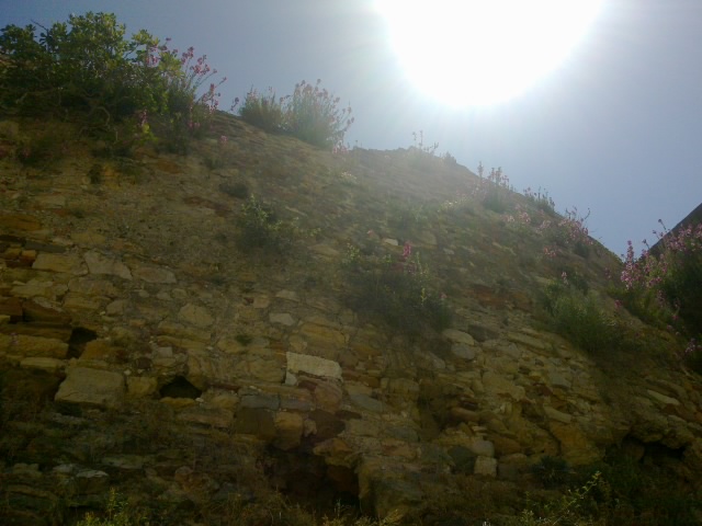 22052011041.jpg