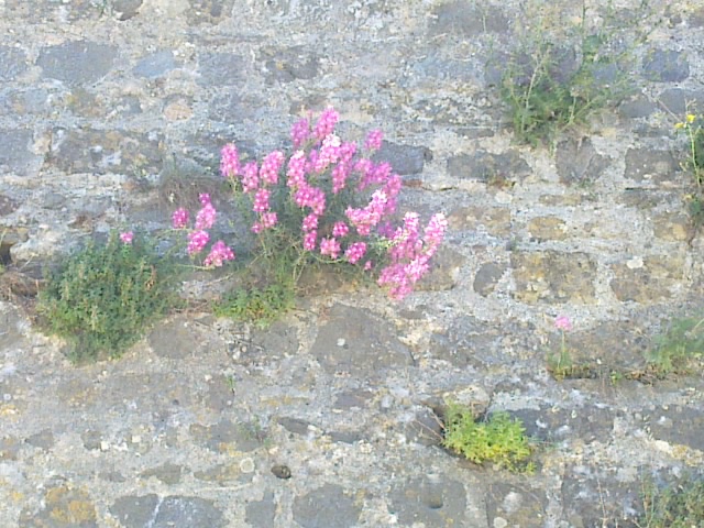 22052011042.jpg