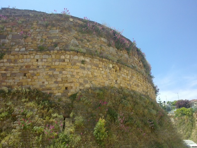 22052011044.jpg