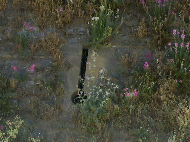 22052011045.jpg