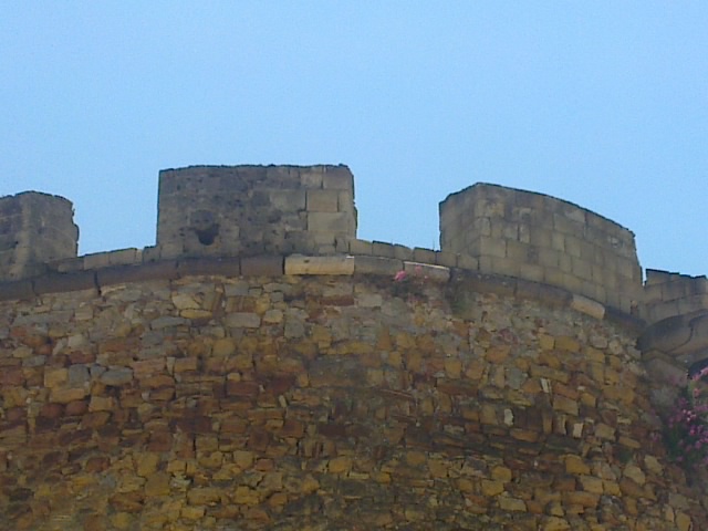 22052011046.jpg