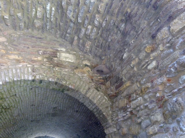 22052011052.jpg