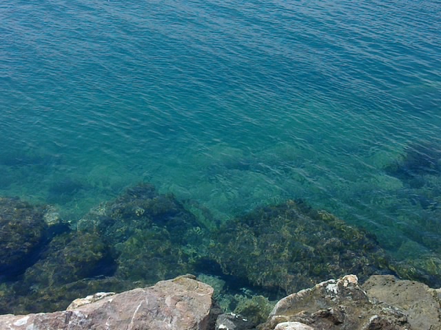 22052011060.jpg