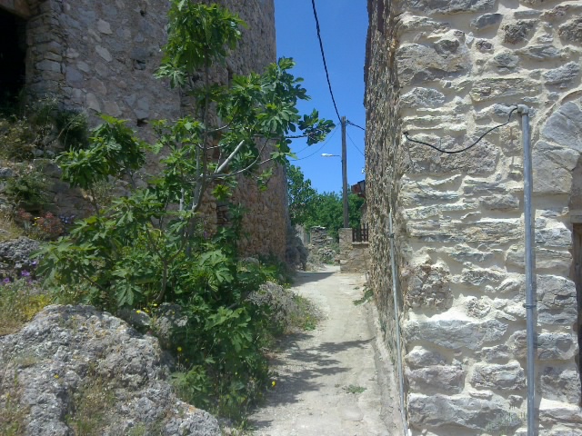 22052011077.jpg