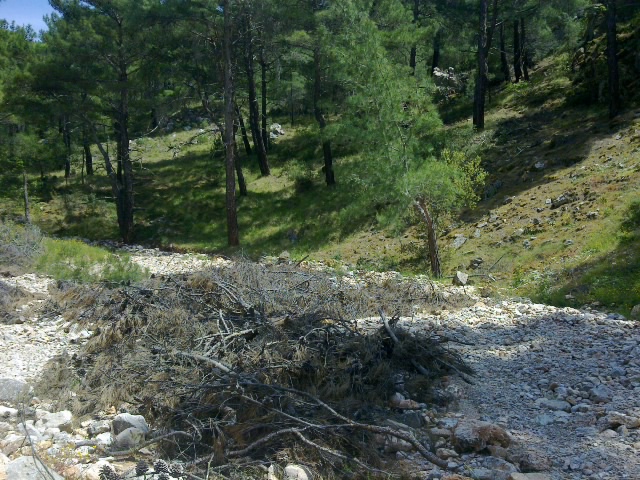 22052011083.jpg