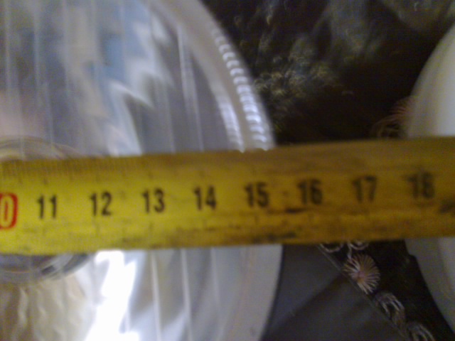 24052011087.jpg