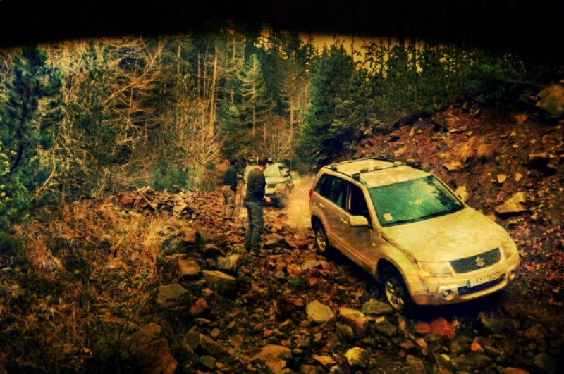 21 (800 x 531).jpg