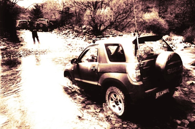 27 (800 x 531).jpg