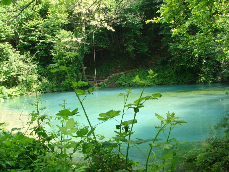 DSC02942.jpg