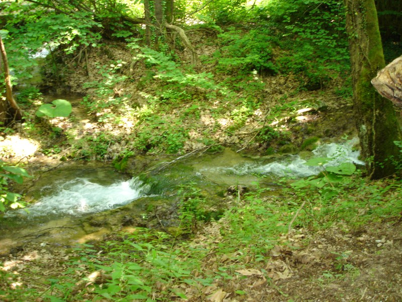 DSC02945.jpg