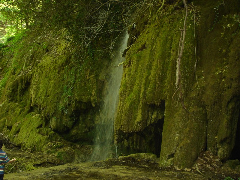 DSC02954.jpg