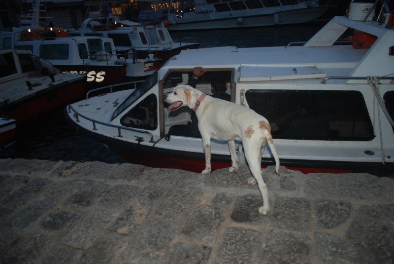 DSC_5703.JPG