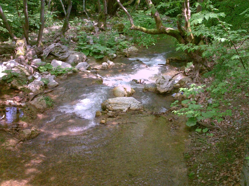 PICT0095.jpg