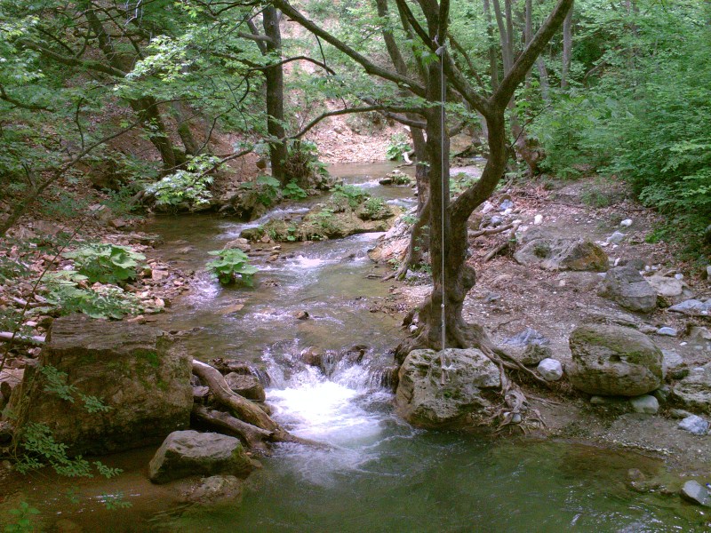 PICT0096.jpg