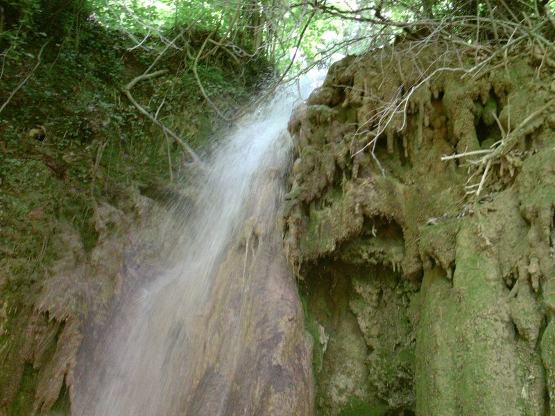PICT0105.jpg