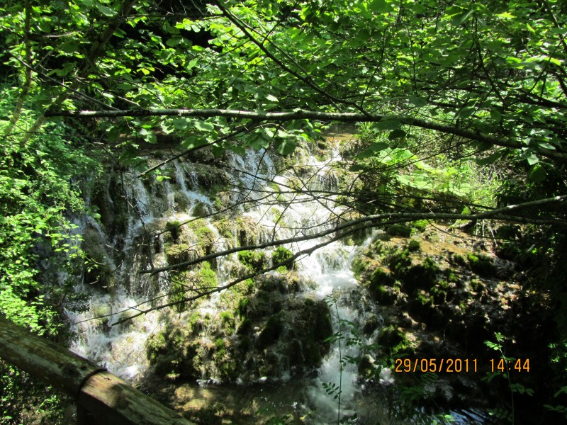 IMG_0396.jpg