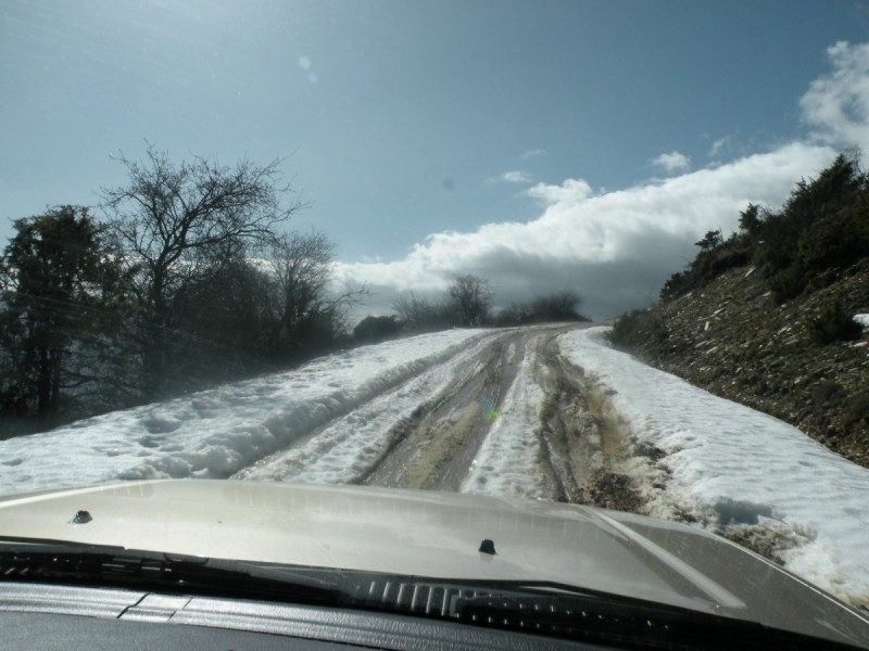 DSCN2680b.JPG