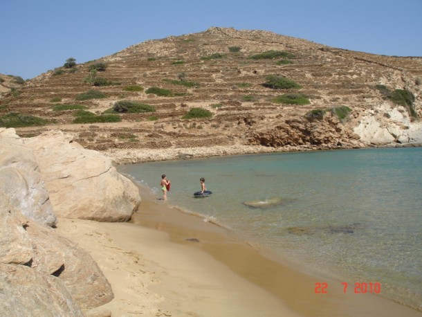 DSC00806.jpg