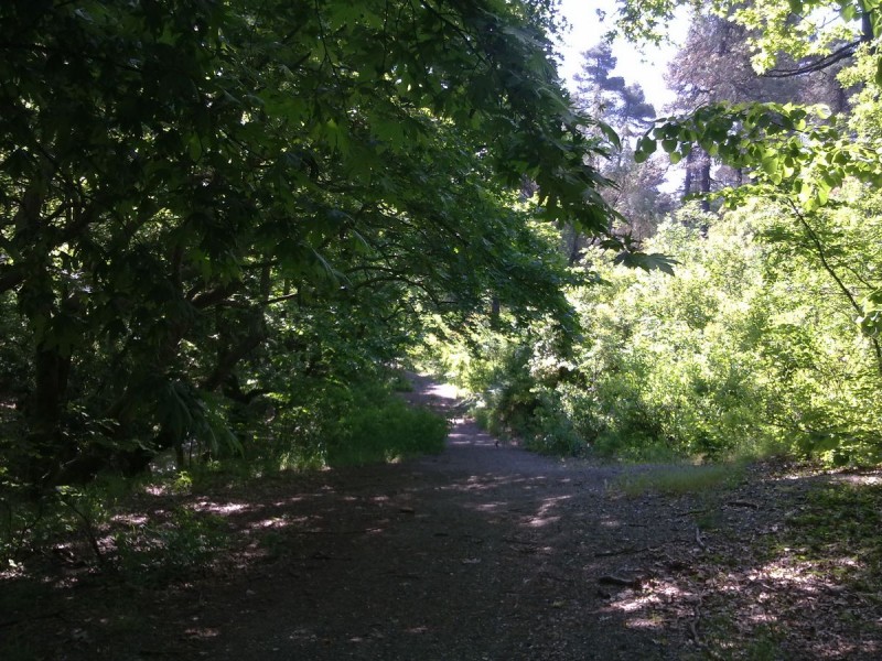 20110605299-qpr.jpg