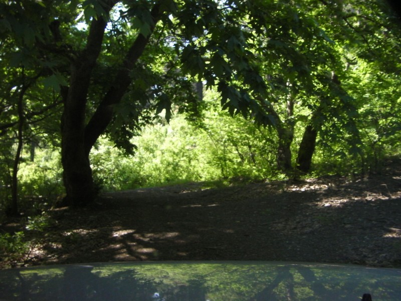 SANY0001.JPG