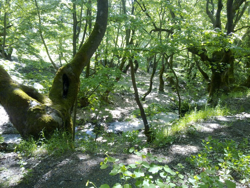 05062011427.jpg