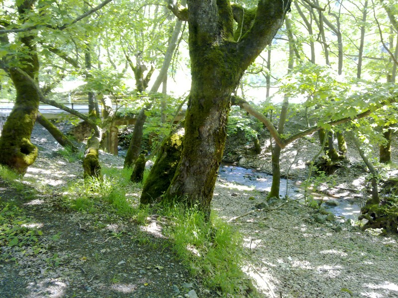 05062011428.jpg